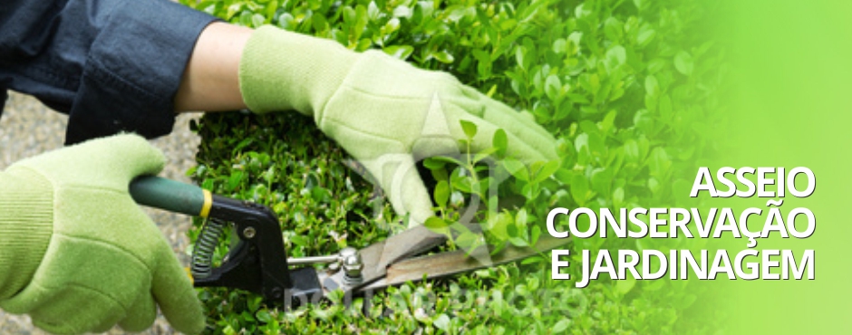 Terceirização de serviços como jardinagem
